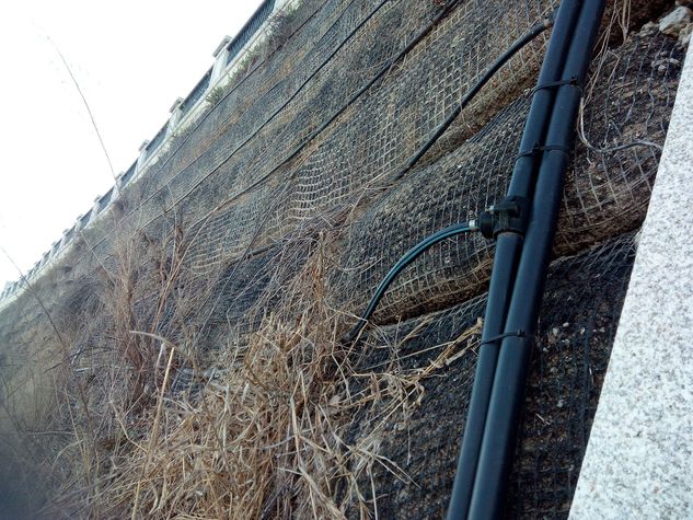 muro-verde-zamora.jpeg